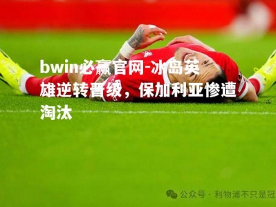 bwin必赢官网-冰岛英雄逆转晋级，保加利亚惨遭淘汰