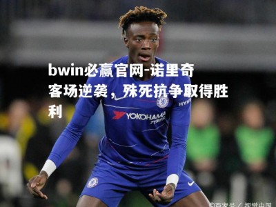 bwin必赢官网-诺里奇客场逆袭，殊死抗争取得胜利