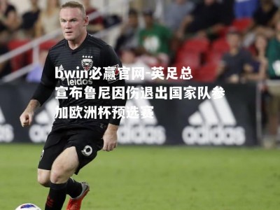 bwin必赢官网-英足总宣布鲁尼因伤退出国家队参加欧洲杯预选赛