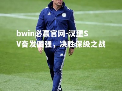 bwin必赢官网-汉堡SV奋发图强，决胜保级之战