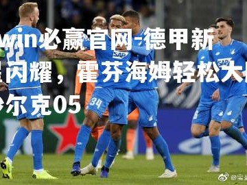 bwin必赢官网-德甲新星闪耀，霍芬海姆轻松大胜沙尔克05