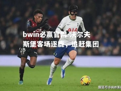 bwin必赢官网-沃尔夫斯堡客场逐鹿，追赶集团