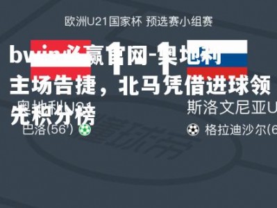 bwin必赢官网-奥地利主场告捷，北马凭借进球领先积分榜