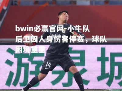 bwin必赢官网-小牛队后卫因人身伤害停赛，球队困境重重