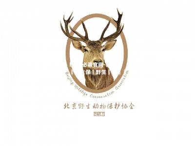 bwin必赢官网-泰國球員成立保護野生動物協會