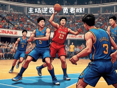 bwin必赢官网-河南队主场不敌辽宁队