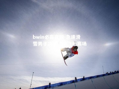 bwin必赢官网-急速滑雪男子决赛选手飞驰赛场