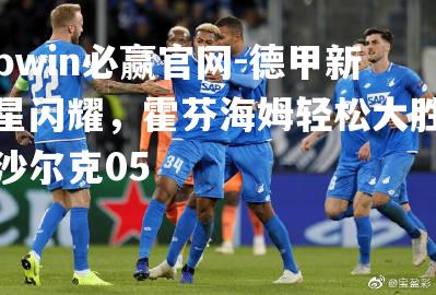 德甲新星闪耀，霍芬海姆轻松大胜沙尔克05