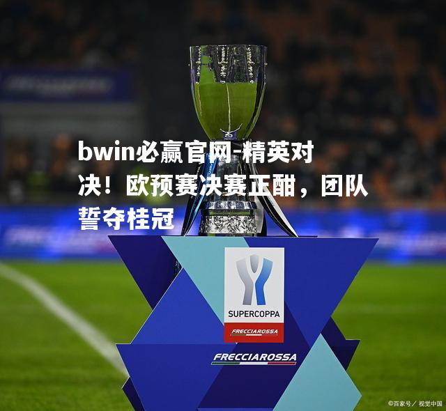 精英对决！欧预赛决赛正酣，团队誓夺桂冠