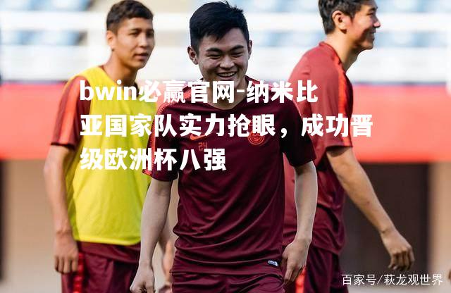 纳米比亚国家队实力抢眼，成功晋级欧洲杯八强