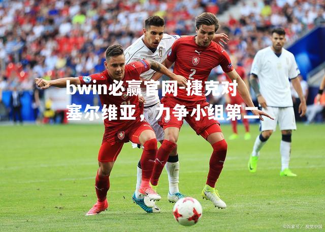捷克对塞尔维亚，力争小组第二
